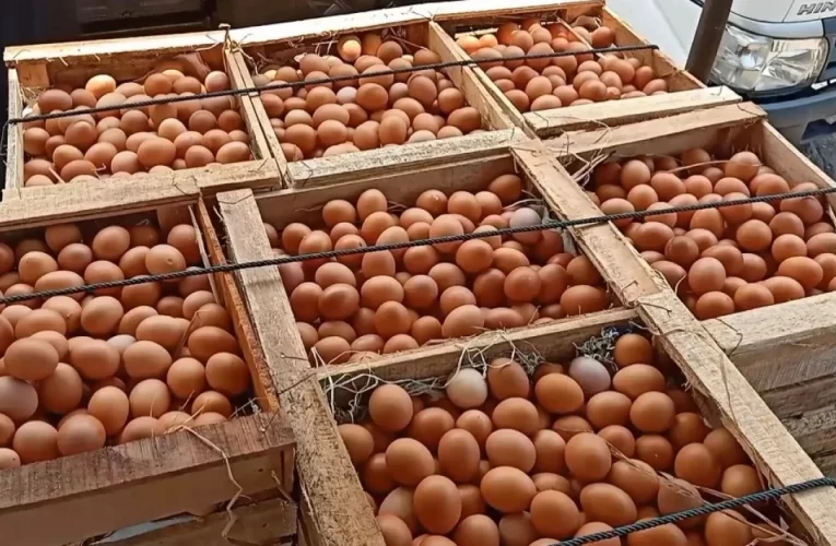 BPKN Soroti Kenaikan Harga Telur Ayam hingga Rp40.000/kg, Ada Permainan Tengkulak dan Agen?